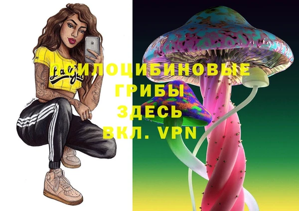 прущий лед Арсеньев